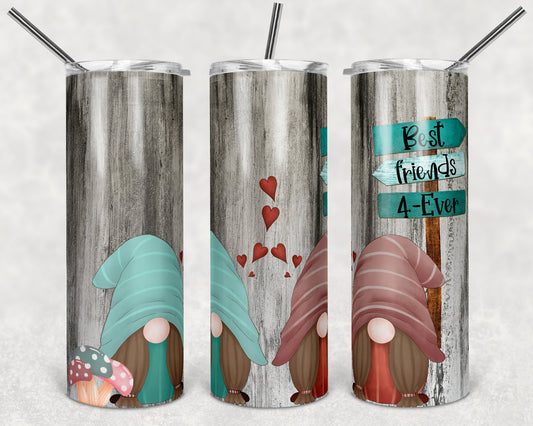 20 oz Skinny Tumbler Sublimation Gnome Best Friends Forever Wood Design Best friend tumbler